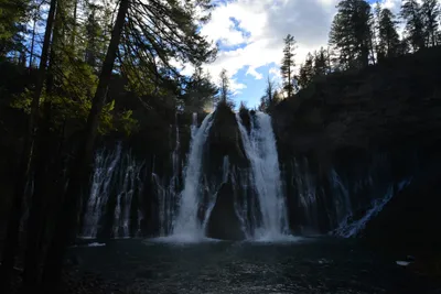 DSC_5952 (Large).JPG